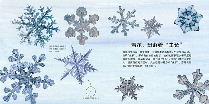 蒲蒲兰绘本馆官方微店:雪花的故事——为你揭开冬日的奥秘!