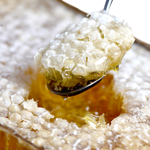 高生源天然桂花新巢蜜450g 原生态天然 封盖新巢蜜 最好的蜂蜜