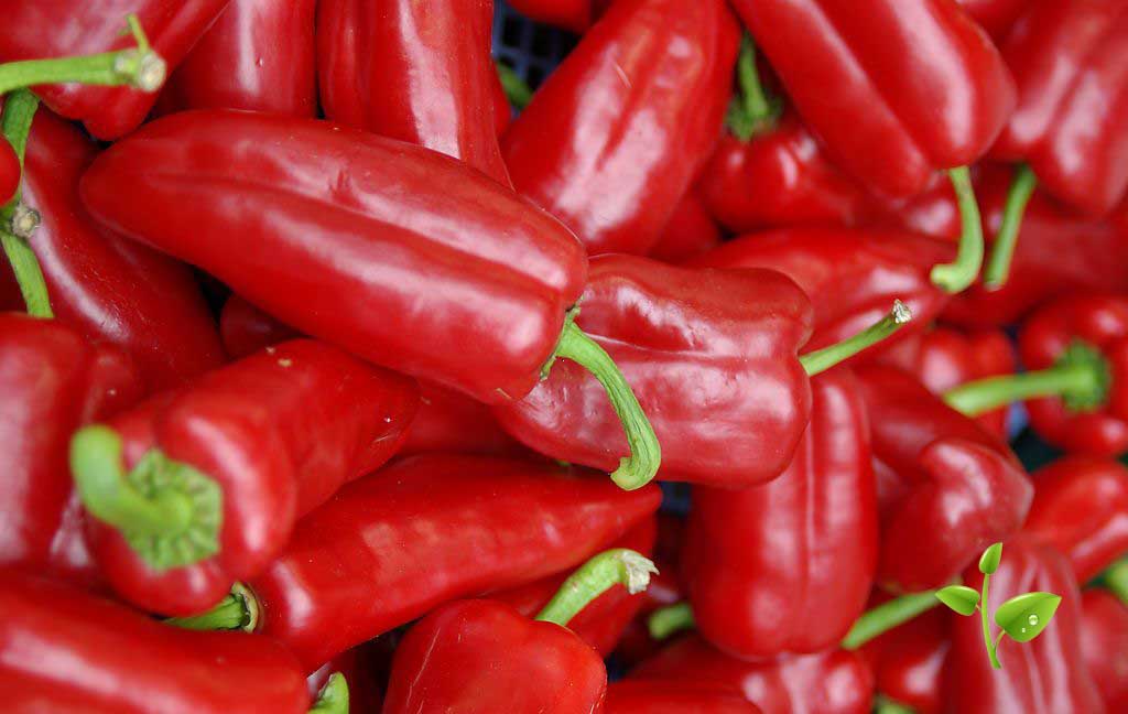 红椒