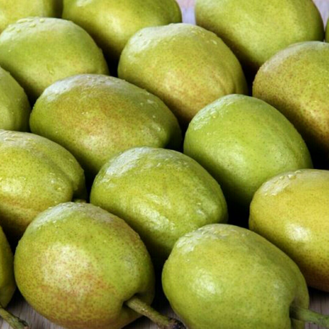 【集果鲜果】正宗新疆特产库尔勒香梨一级果5斤装仅售22.8元包邮