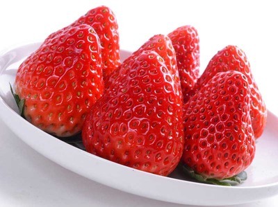 真田红颜草莓