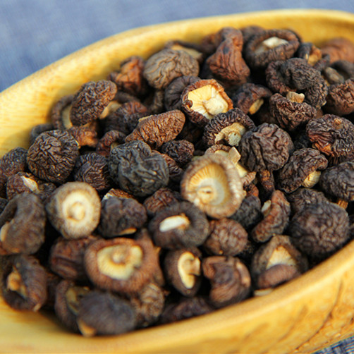 迷泥农庄丨东北野生小香菇 100g 黑山 椴木 袖珍香菇