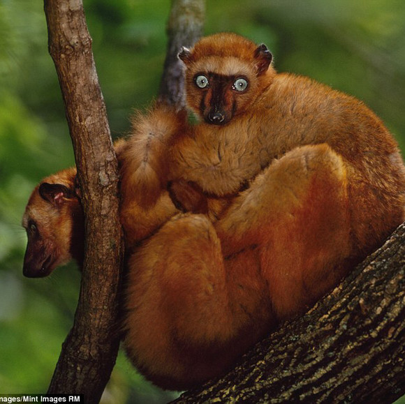 新筑投资002480股票赔偿服务