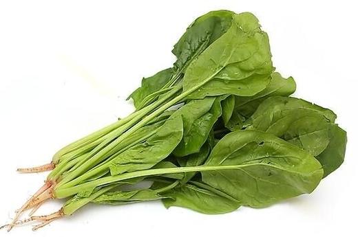 202外地菠菜约500克 商品图0