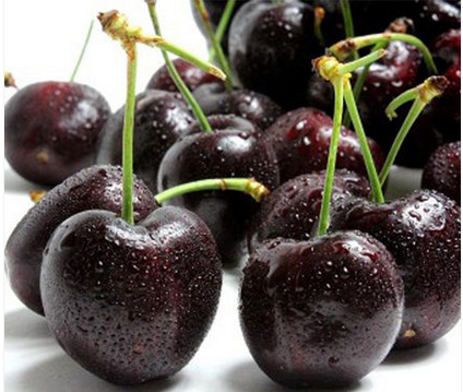 智利车厘子如宝石一样红嫩欲滴,如阳光一般晶莹剔透,果色深红丰盈