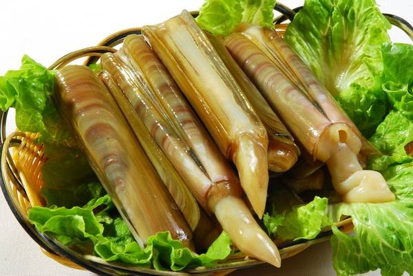 竹蛏 时价 (价格请咨询客服0591-87578075)