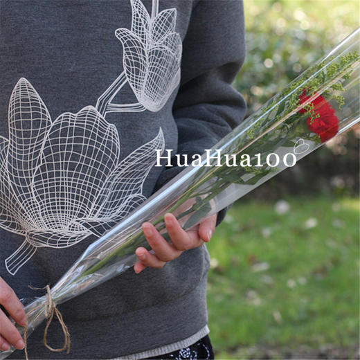 小心意A丨单枝康乃馨花束20枝起订 商品图1