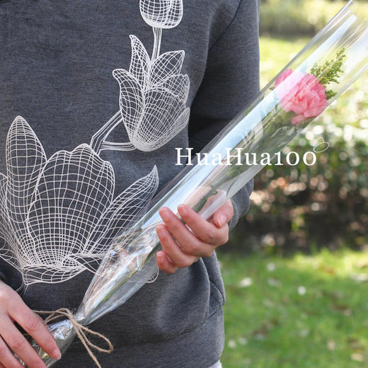 小心意A丨单枝康乃馨花束20枝起订 商品图0