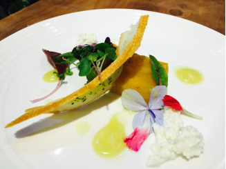 洞藏雪蜜---嚼着吃的蜂蜜之雪蜜美食