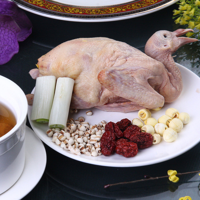 鸽,亦称鸽子,属于鸟纲鸽形目鸽属,一种多用途家禽,主要用于肉食,体育