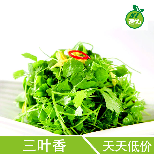 三叶香 - 速优送菜网