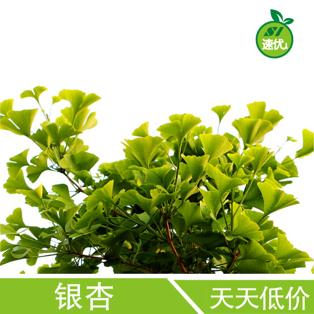 银杏- 速优送菜网
