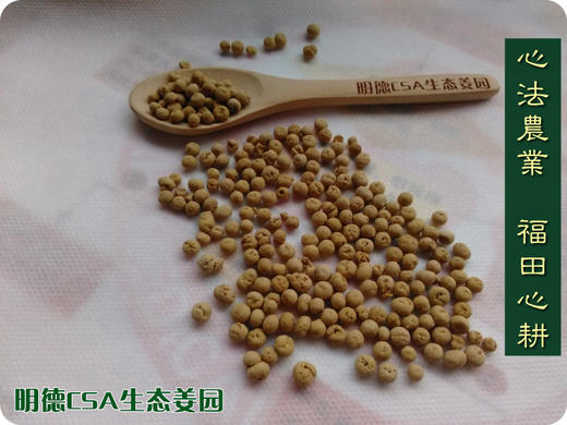 七不姜丸/姜参丸/姜参粉 纯正“七不”小黄姜 原始点 食用内热源150克/180克230克350克 农产品定制 商品图1