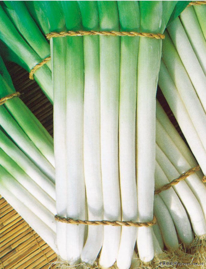 本地带根大葱(1kg)