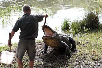 悉尼經典門票 澳大利亞鯊魚與魔鬼魚中心(兒童價)