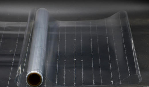 OPP-英文玫瑰-包邮 商品图5