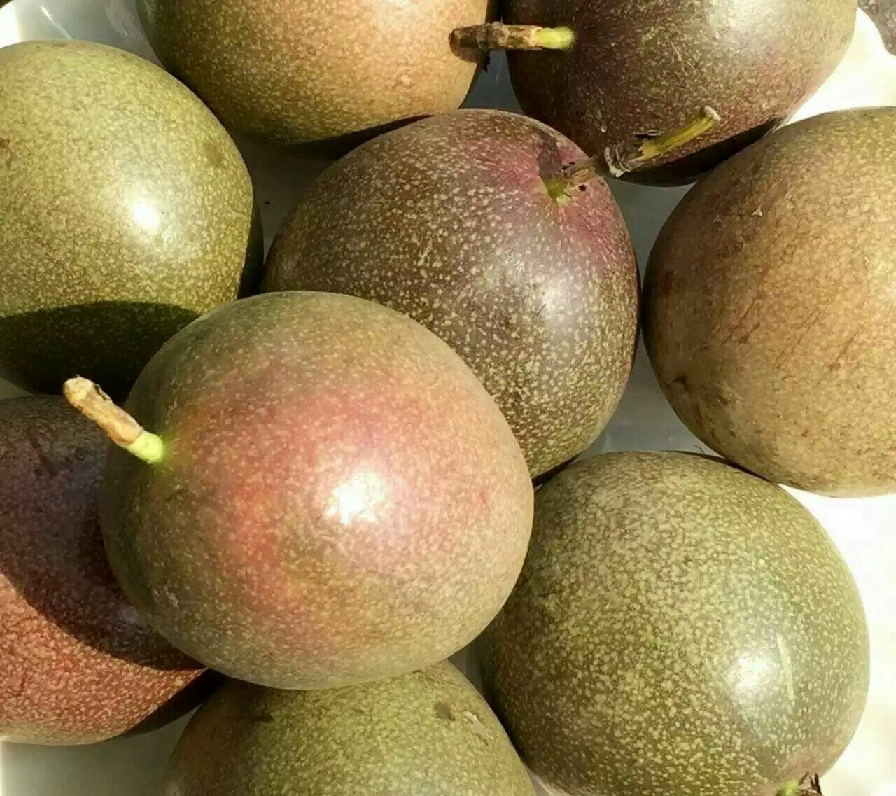 巴西百香果空运来袭,切开一颗满屋清香据说仔细可以闻到香蕉,凤梨