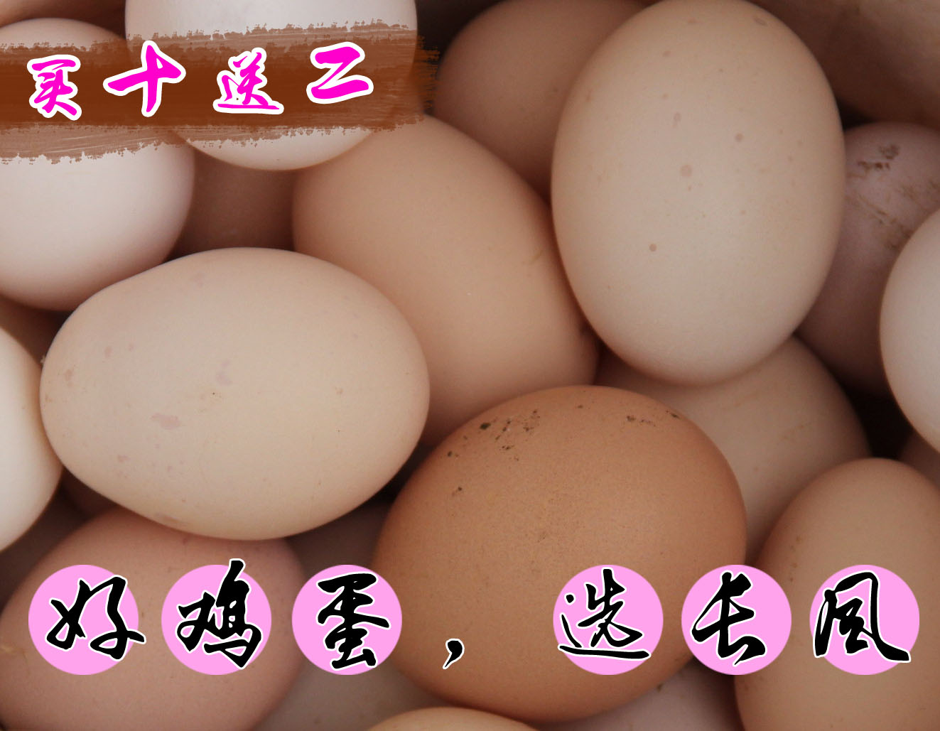 散养土鸡蛋