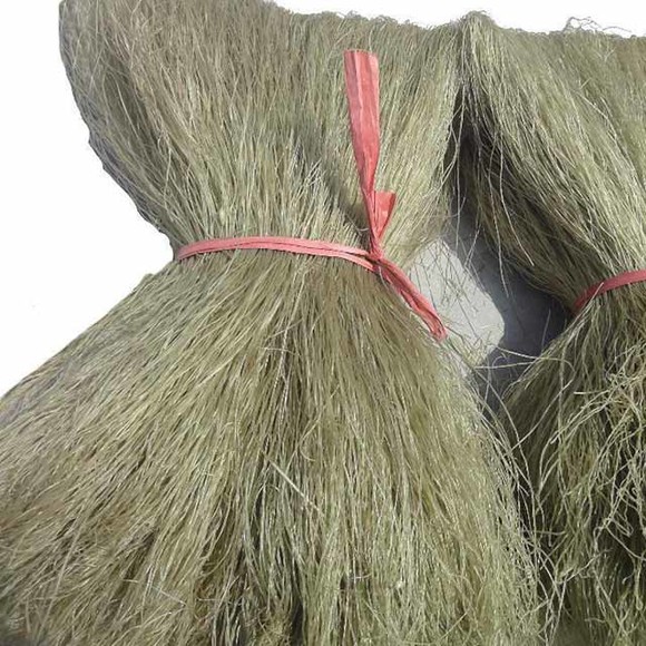 【中电颐和家园】【双港粉丝】响水特产\/2斤装