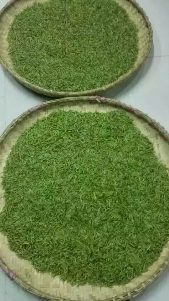 阳坝茶叶生长的地方,是山清水秀,气候温和湿润,自然环境优美地方,所产