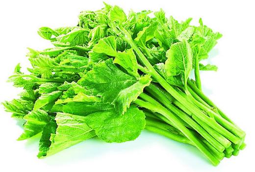 301南瓜苗约500克 商品图0