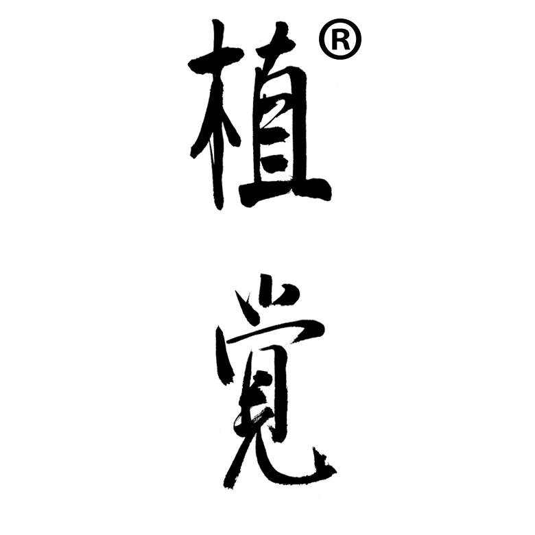 植觉日本长寿梅盆景红花一号