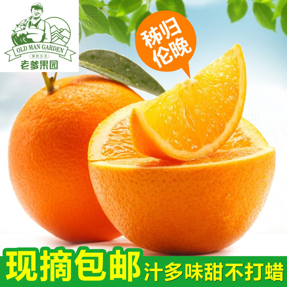 【预售】秭归脐橙时令水果伦晚春橙不打蜡水分