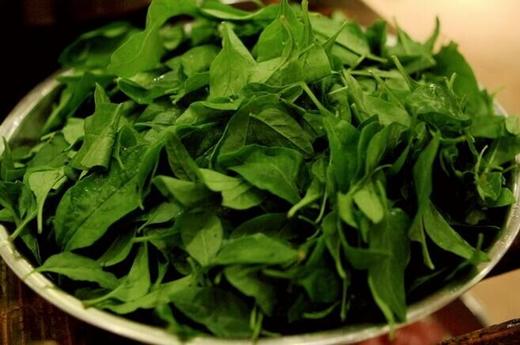 301枸杞叶约500克 商品图1