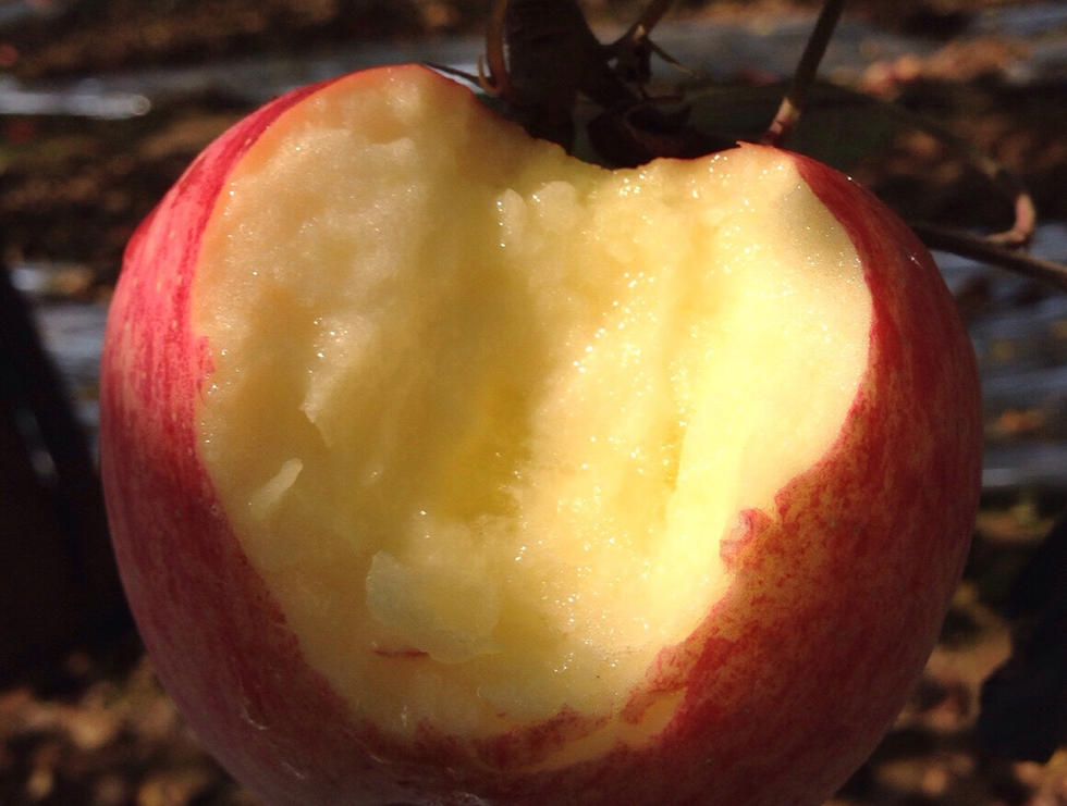 纯天然新鲜 苹果