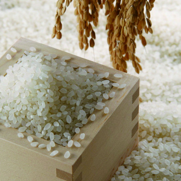 兴化鸭稻共生新米 真正的中央特供米 自然农耕