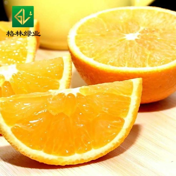 新鲜水果 进口甜橙 西班牙橙子脐橙西班牙特产