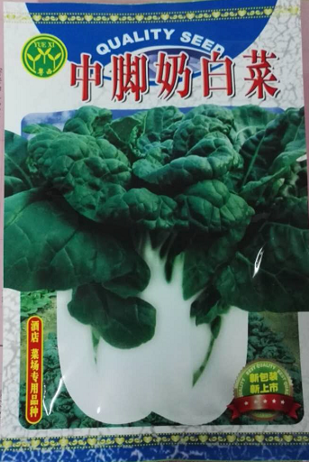 永旺01中脚奶白菜