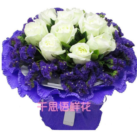 白雪公主/11朵白玫瑰