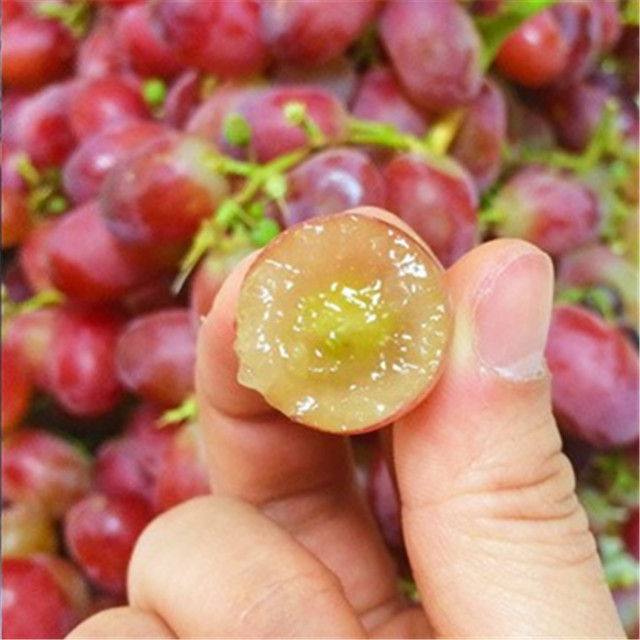 澳洲无籽小红提【首次福利】,信阳首家到货,皮薄不涩口 粒粒爽脆.