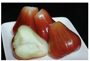 台湾珍珠莲雾鲜切(大份)