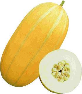 黄白皮甜瓜/斤