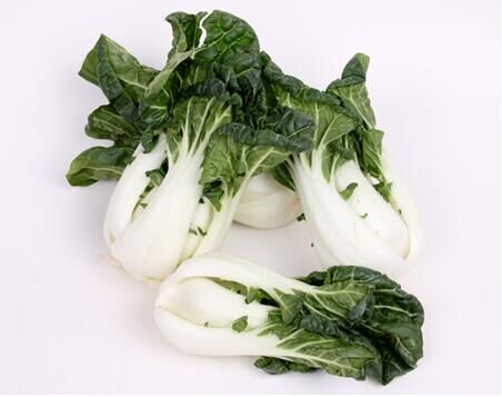 203奶白菜约500克