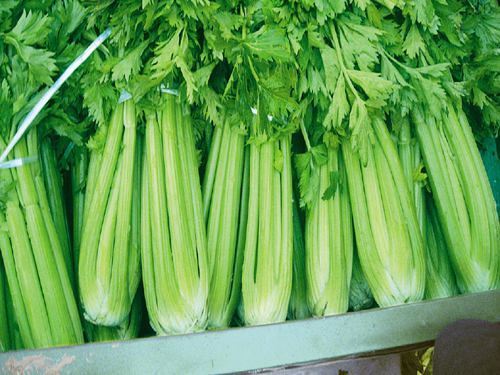 芹菜