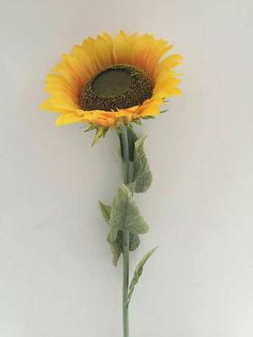 单只向日葵(大)