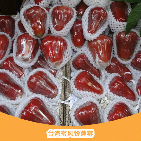 台湾蜜风铃莲雾 原箱12斤 (限江浙沪)