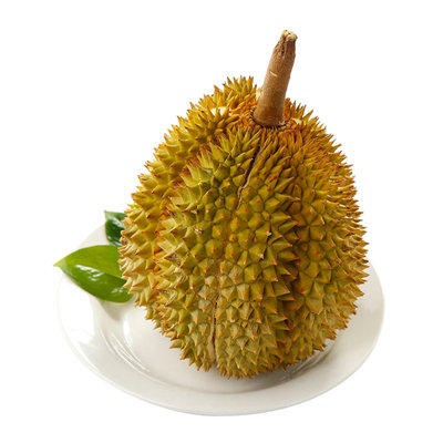 泰国树上熟金枕榴莲1个,单果重3.5-4斤