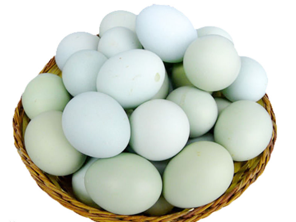 绿皮蛋