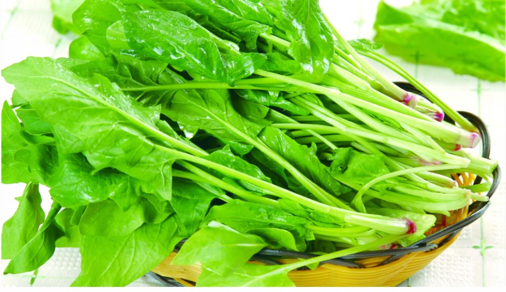 菠菜
