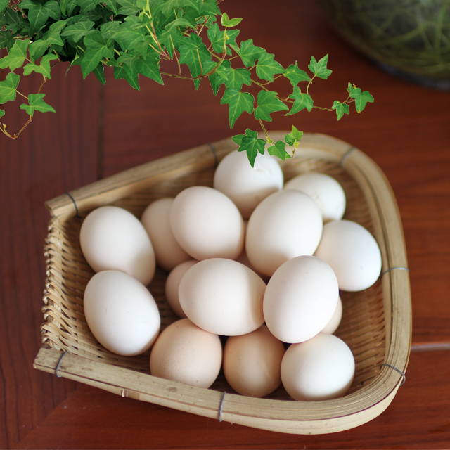 泸西原生态散养土鸡蛋【首次购买土鸡送10个