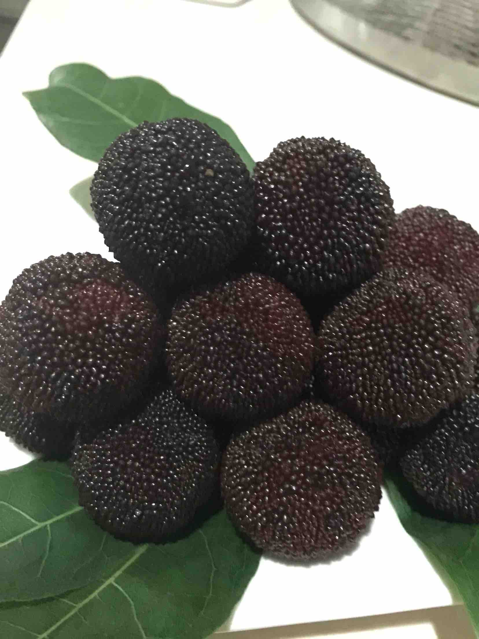 原产地直销仙居特级荸荠杨梅新鲜水果健康无污染