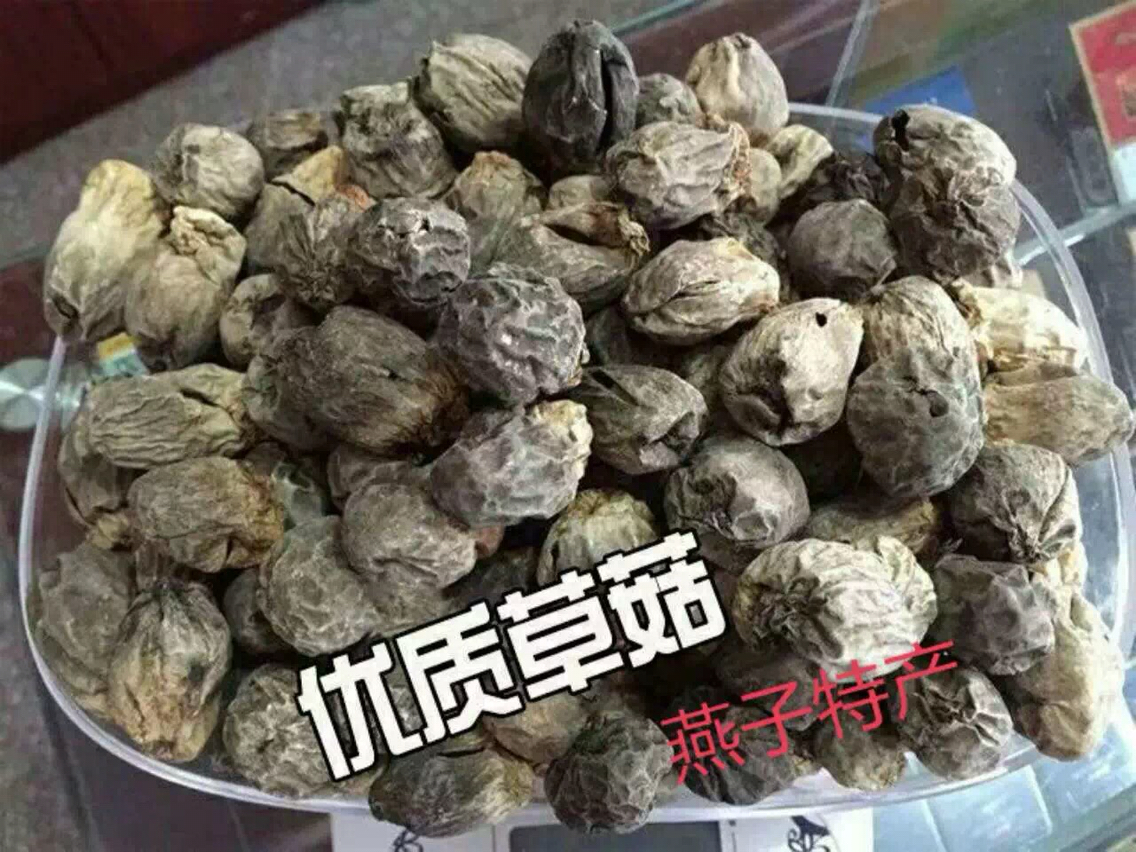 德化特产草菇