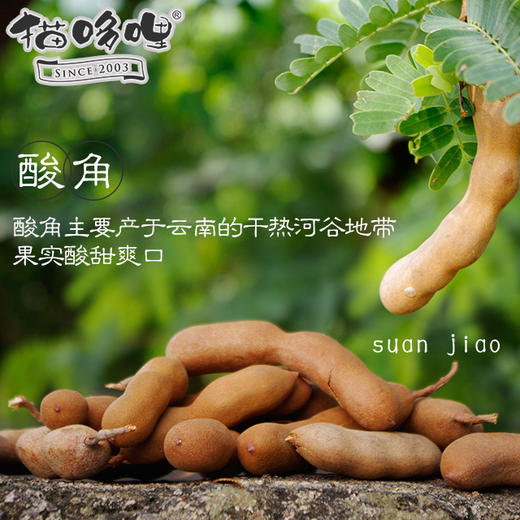 猫哆哩酸角糕500g   云南特产酸角甜角 孕妇零食小吃蜜饯果脯 商品图2