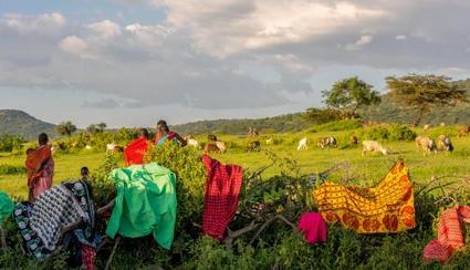小地球坦桑尼亚野奢之巅 商品图1