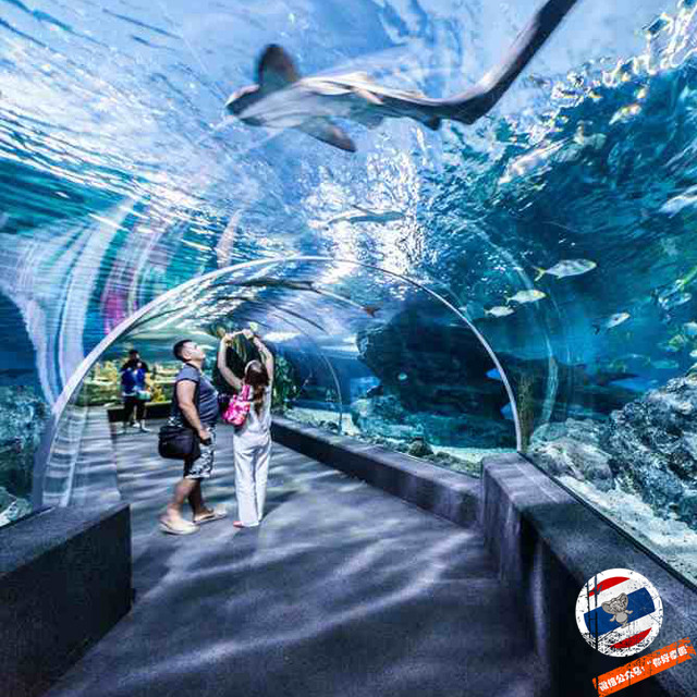【曼谷】暹罗海底世界 siam ocean world(全网最低价!只到5月31日)