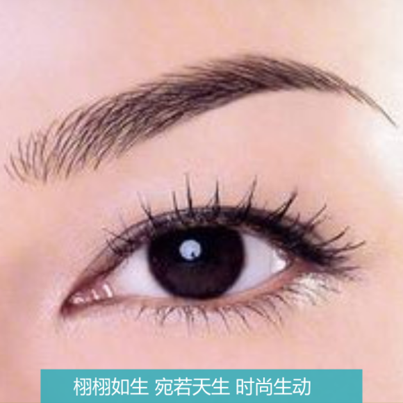 【仿真眉】栩栩如生 宛若天生